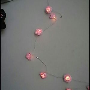 rose string lights